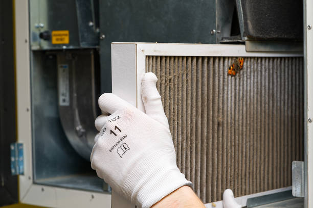 Best Home Air Vent Cleaning  in West Hills, NY